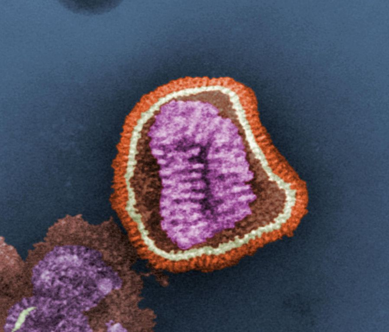 Illustration for article titled Psychedelic Images of Terrifying Viruses